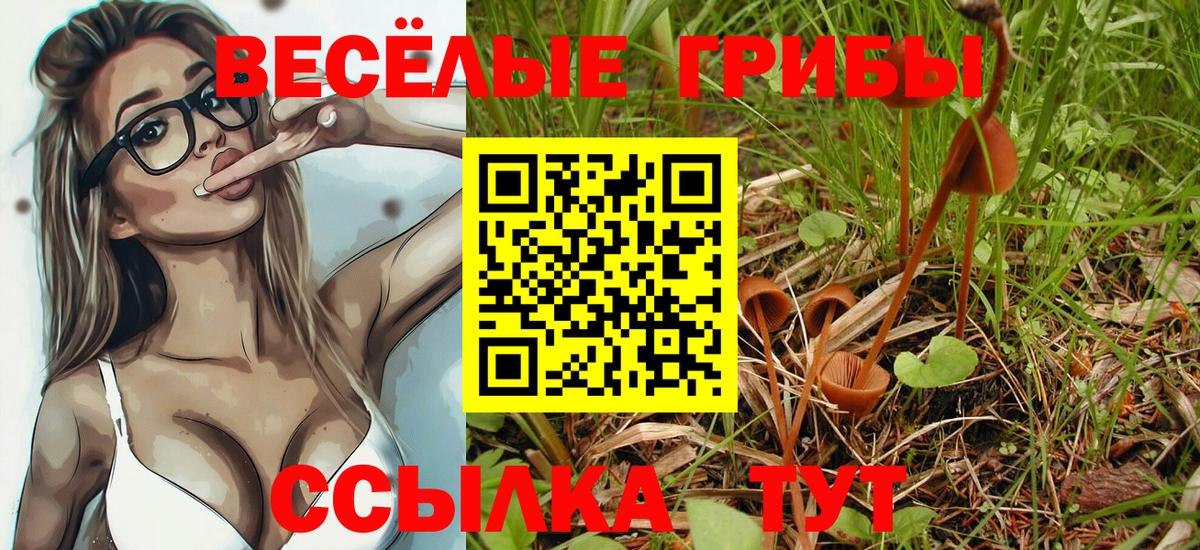 Галлюциногенные грибы GOLDEN TEACHER Новотроицк